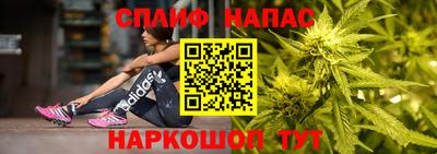 apvp Пушкино