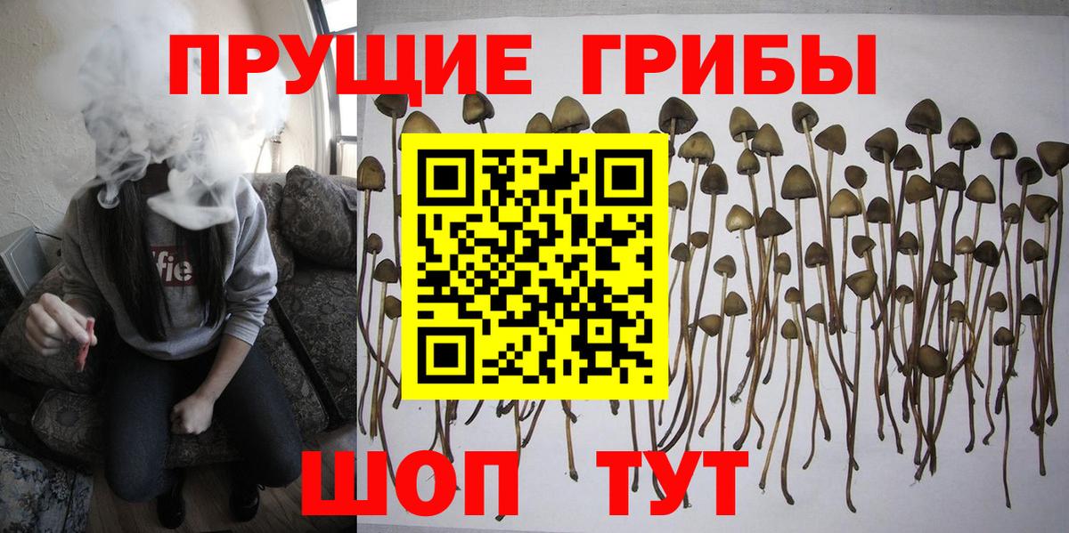 Псилоцибиновые грибы Cubensis  Вход с VPN  где купить наркоту  Галлюциногенные грибы Magic Shrooms  Рыбинск 